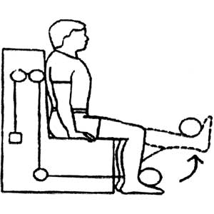 Exercises for Knee Arthritis - Fig. 4